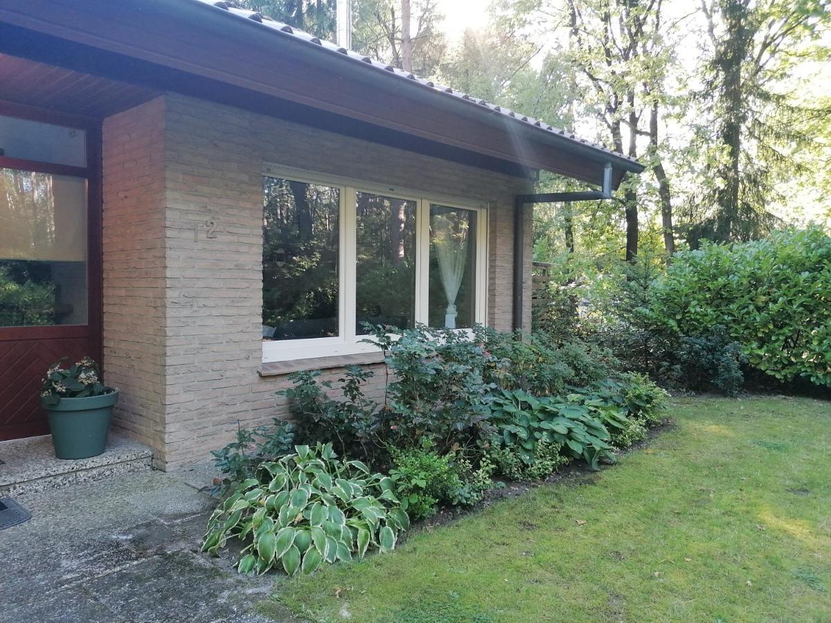 Ferienhaus Fasanennest Uelsen エクステリア 写真